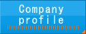 Company profile